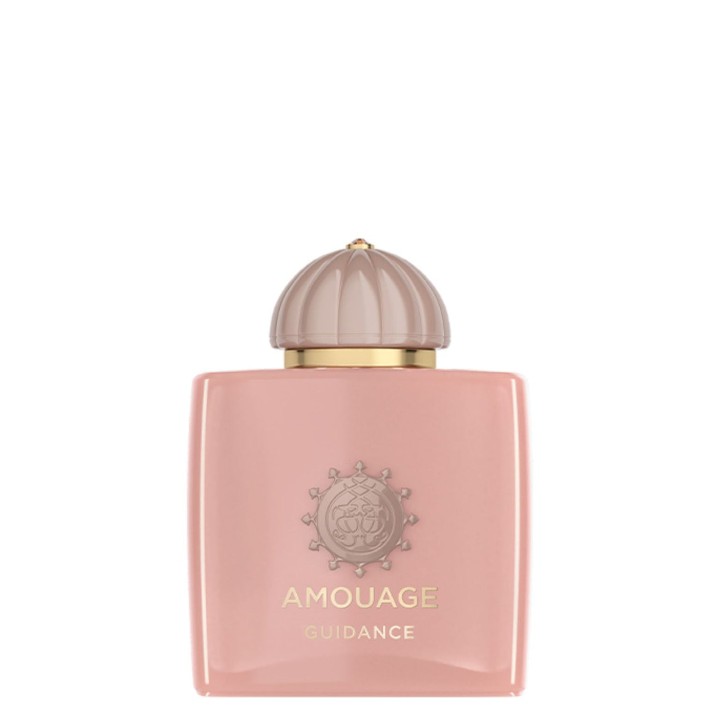 Amouage Guidance