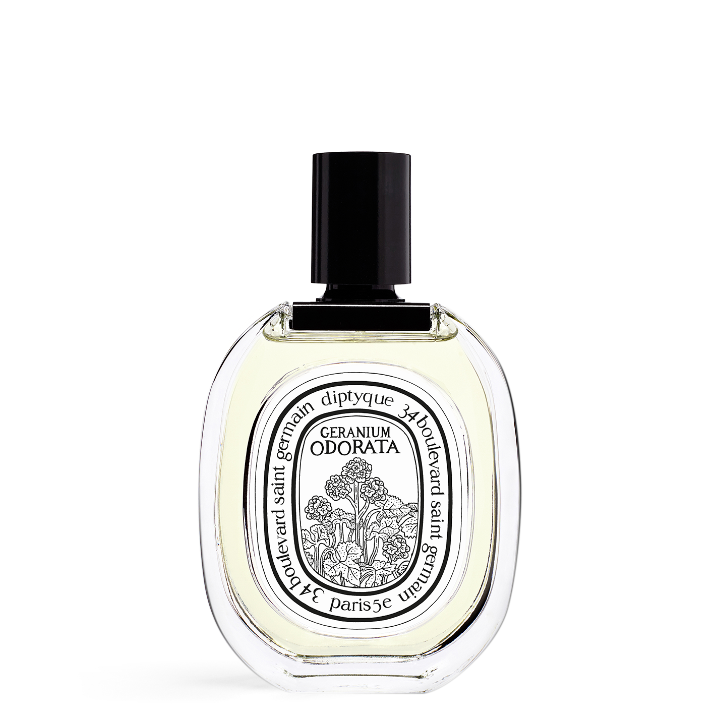 Diptyque Geranium Odorata EDT Decants/Samples